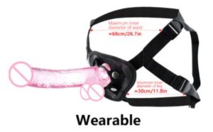 Wearable Harness