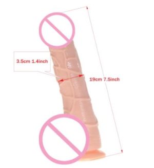 dildo with suction cup